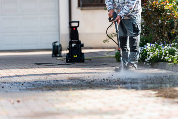 Best Affordable Power Washing  in Carrington, ND