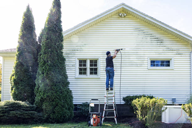 Best Roof Power Washing Services  in Carrington, ND