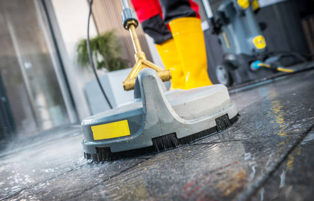 Best Roof Pressure Washing  in Carrington, ND