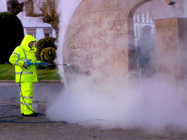 Best Exterior Home Cleaning  in Carrington, ND