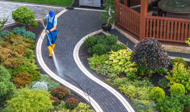 Best Pressure Washing Near Me  in Carrington, ND