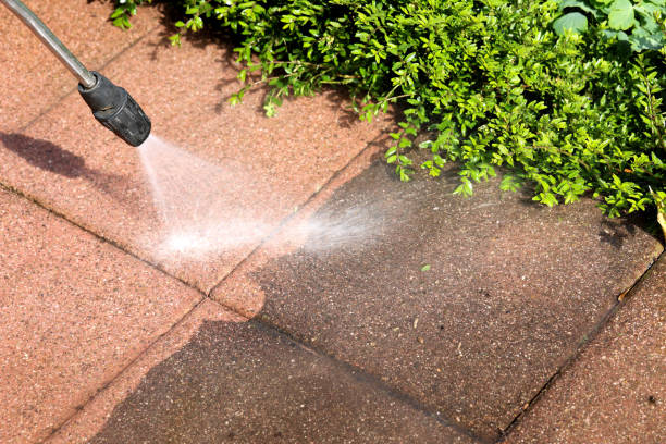 Best Affordable Pressure Washing  in Carrington, ND