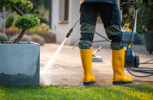 Best Best Pressure Washing Companies  in Carrington, ND